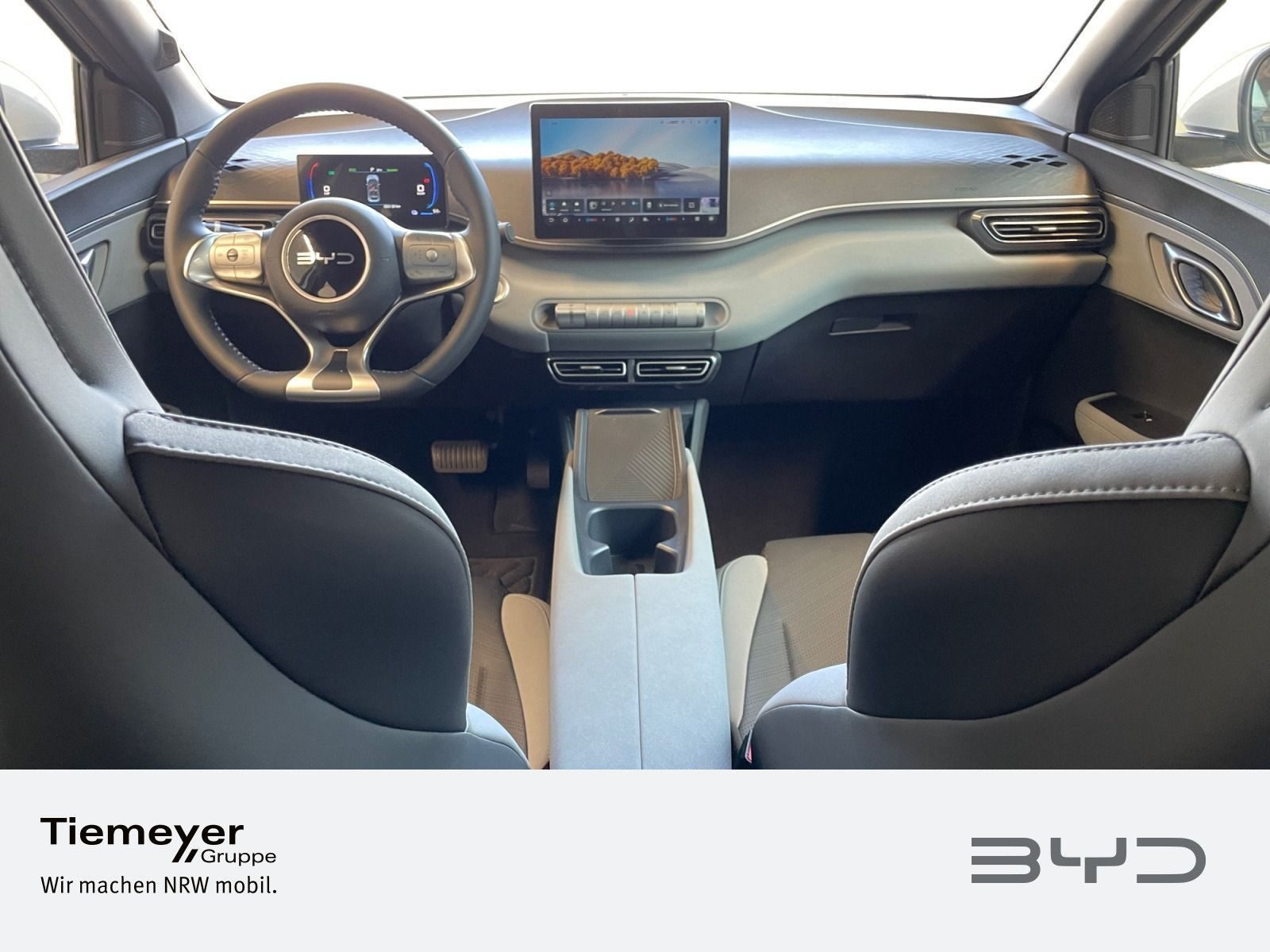 BYD DOLPHIN SURF – Bild 12
