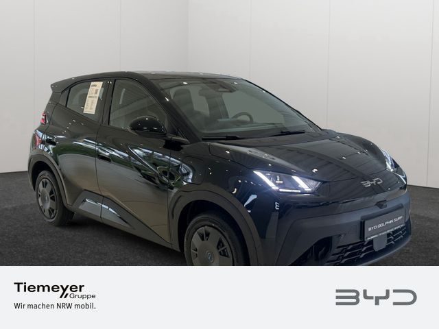 BYD DOLPHIN SURF – Bild 2