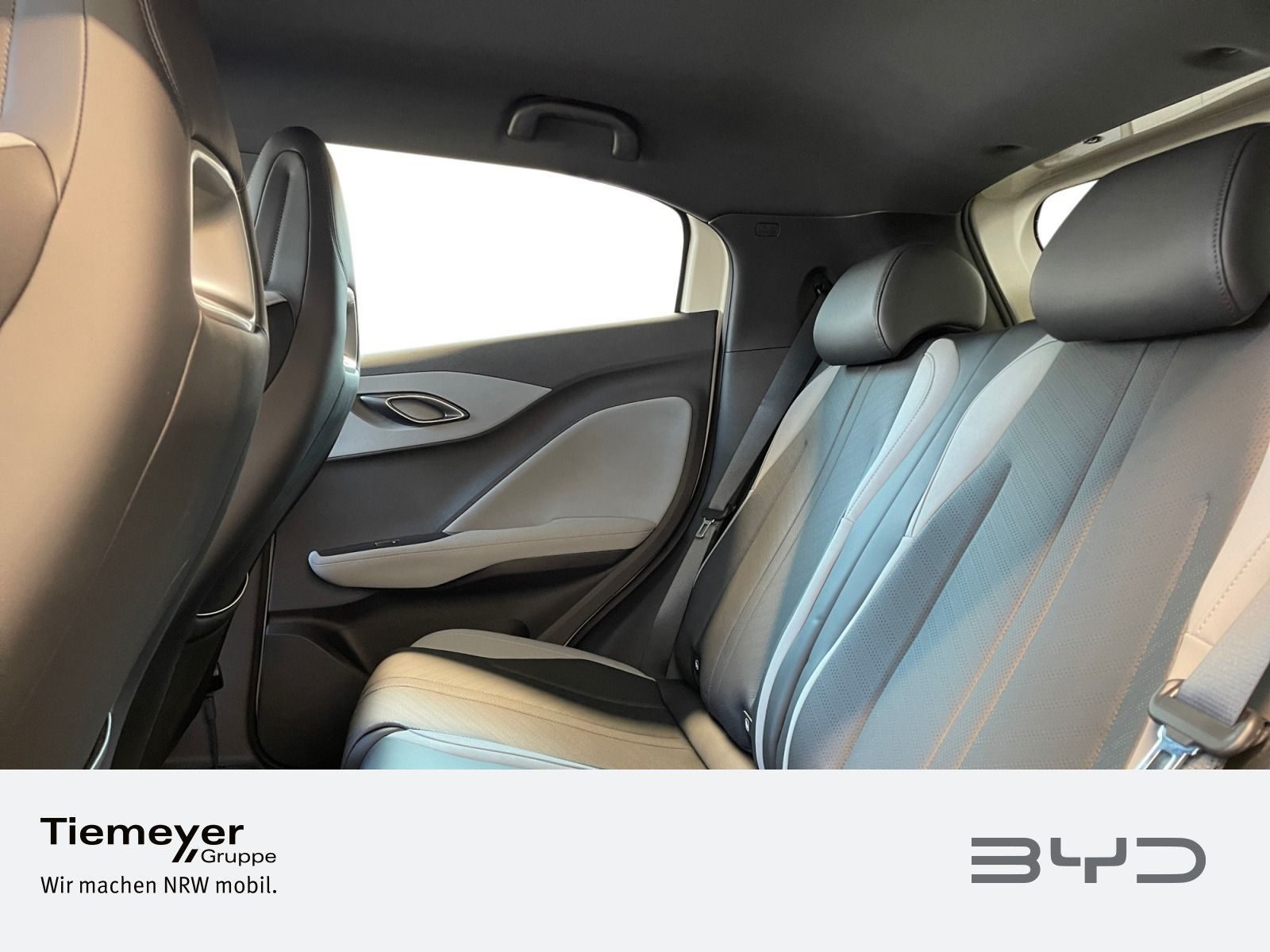 BYD DOLPHIN SURF – Bild 11
