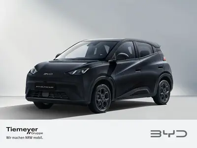 BYD DOLPHIN SURF MJ 26 Comfort 43kWh Batterie