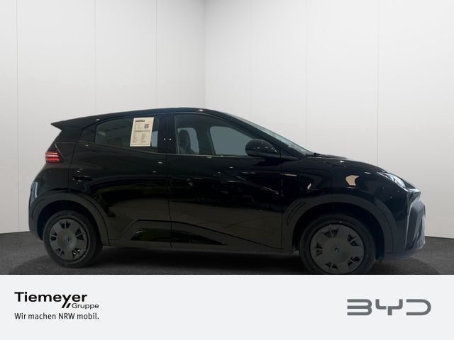 BYD DOLPHIN SURF – Bild 3