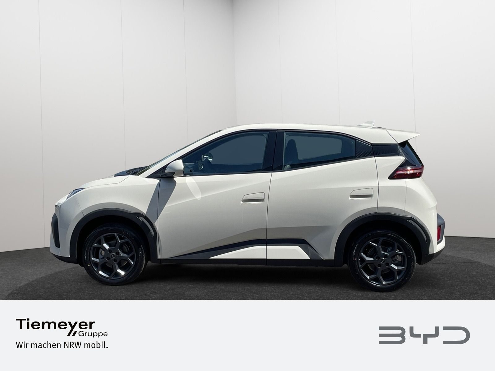 BYD DOLPHIN SURF – Bild 8