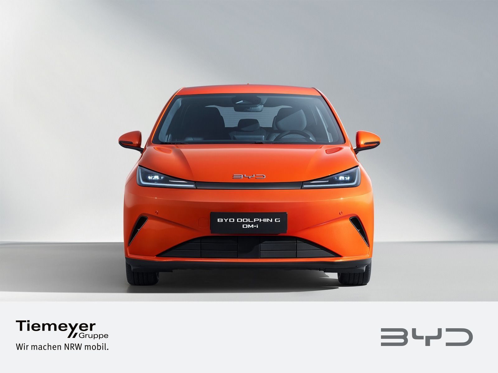 BYD DOLPHIN – Bild 2