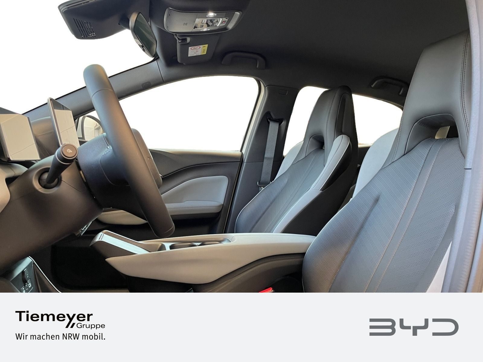 BYD DOLPHIN SURF – Bild 10