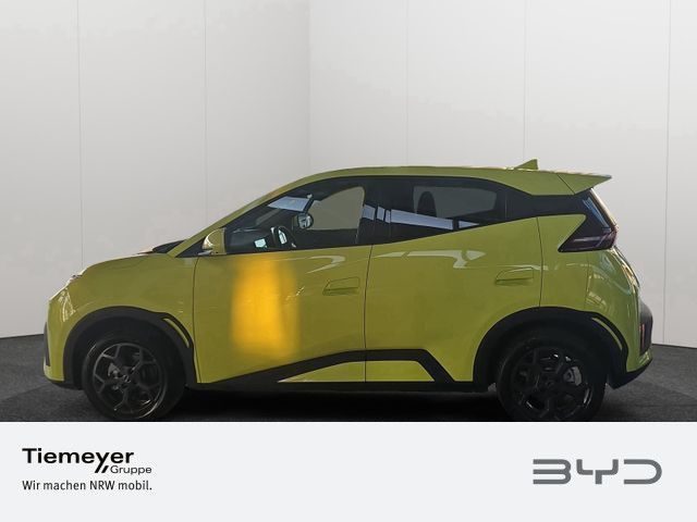 BYD DOLPHIN SURF – Bild 7
