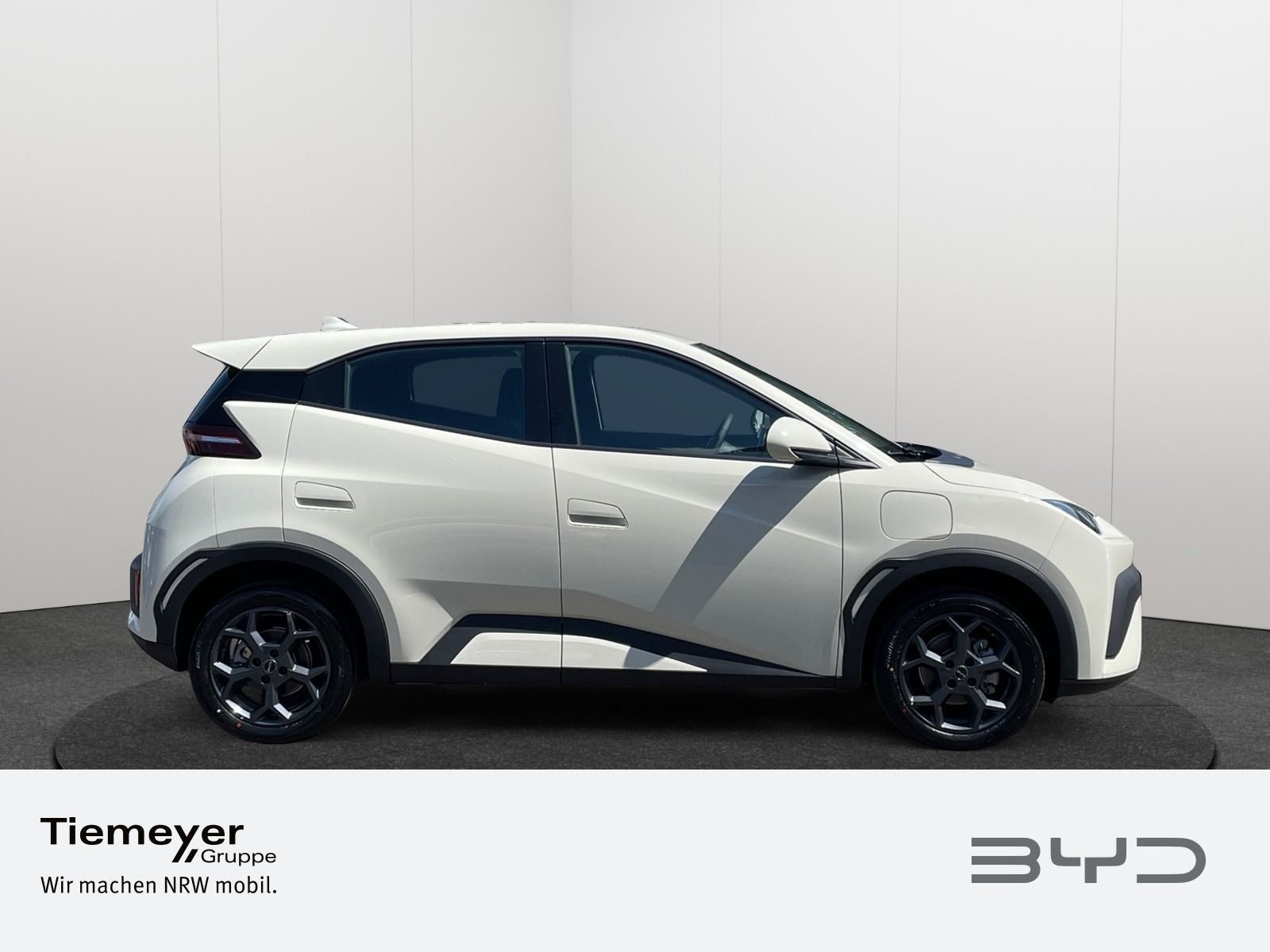 BYD DOLPHIN SURF – Bild 4