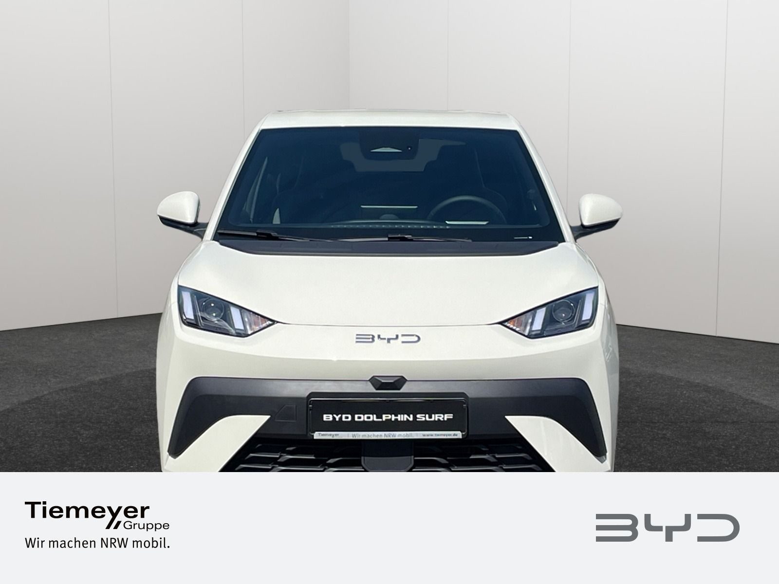 BYD DOLPHIN SURF – Bild 2