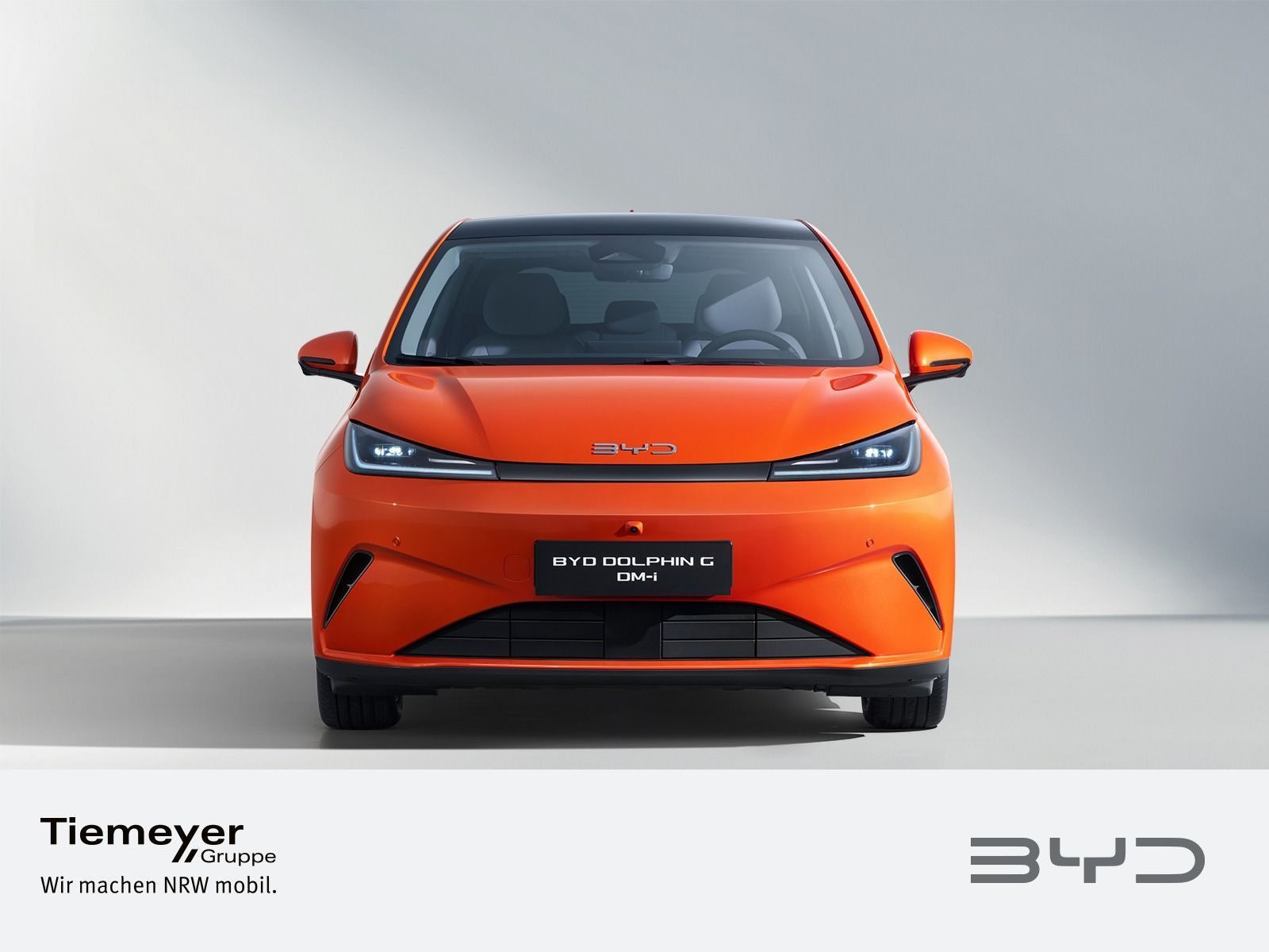 BYD DOLPHIN – Bild 2