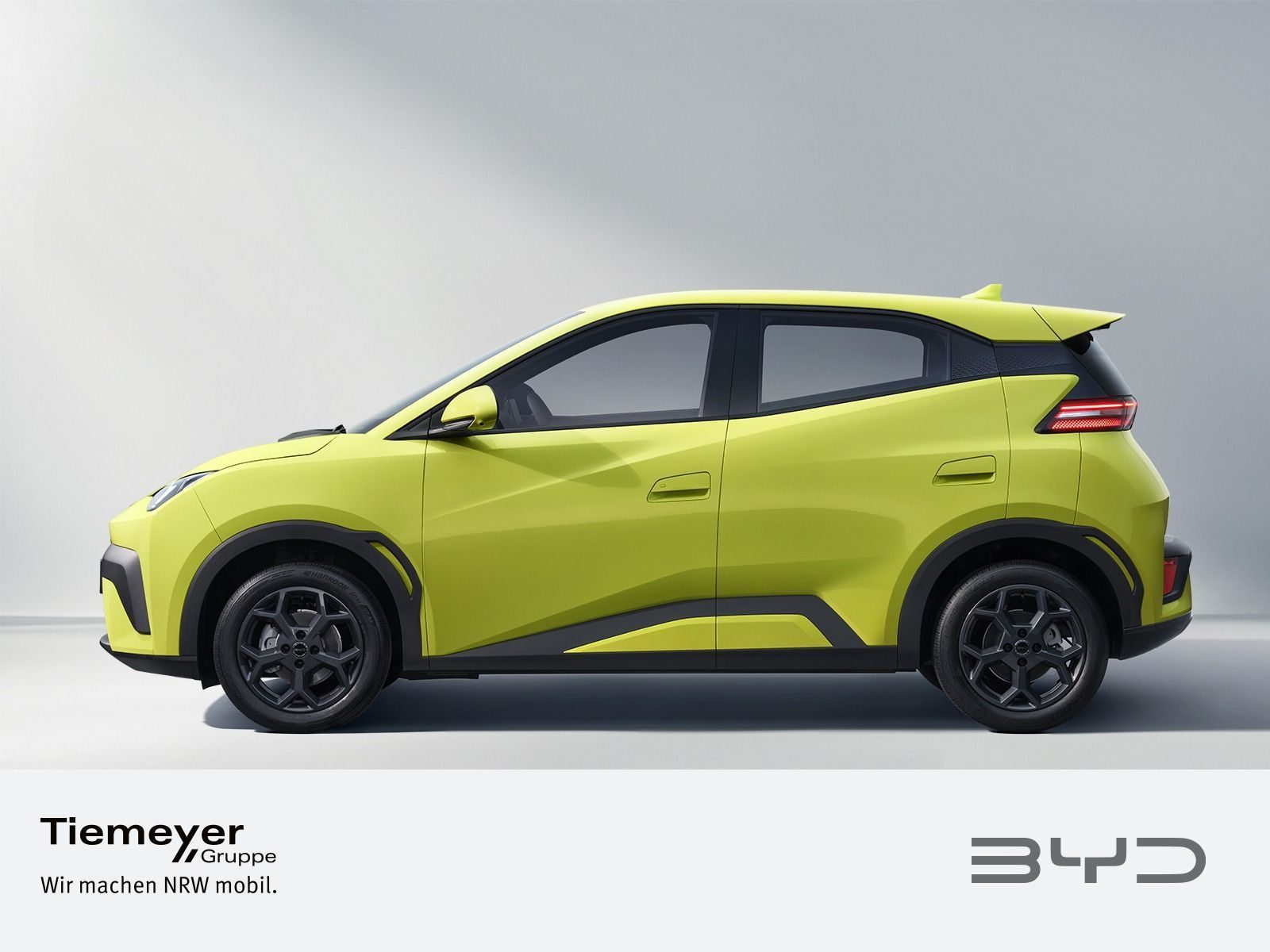 BYD DOLPHIN SURF – Foto 2