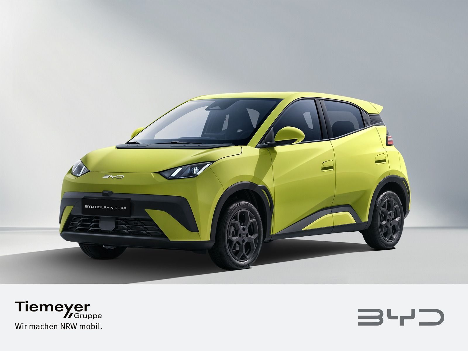 BYD DOLPHIN SURF – Foto 1