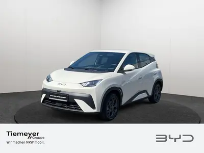 BYD DOLPHIN SURF Boost MJ 26 43 kWh Batt.