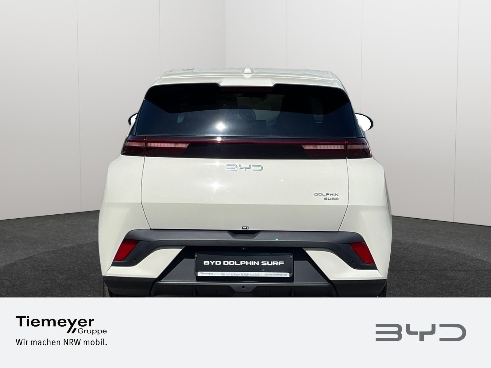 BYD DOLPHIN SURF – Bild 6