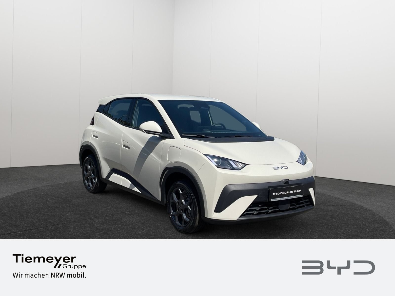 BYD DOLPHIN SURF – Bild 3
